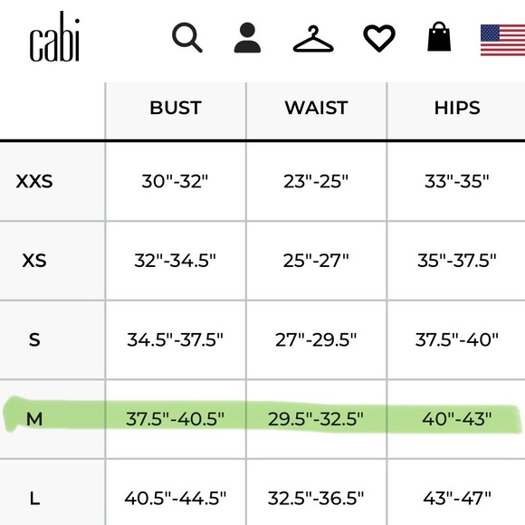 NWT CAbi Onyx Swishing Carwash Flapper Empire Waist Cocktail Party Dress LBD 8/M - Picture 14 of 16